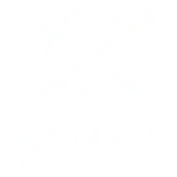 Mentis Interactive logo
