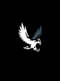 Patriots Division logo