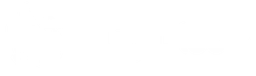 Slug Disco logo